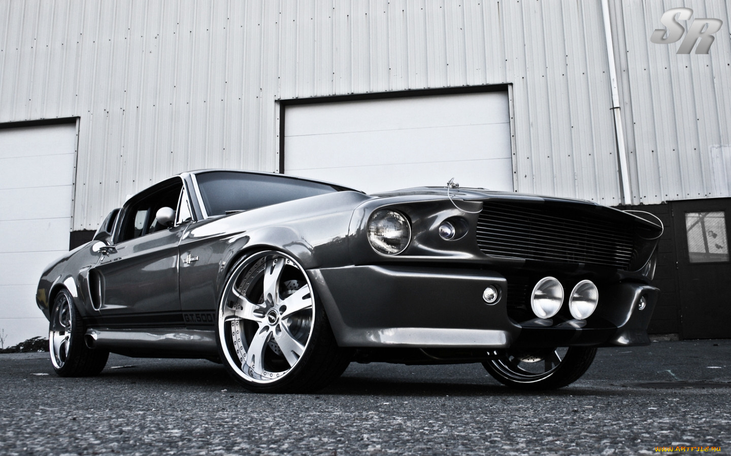 , mustang